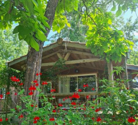 Charmant chalet bois pour 4 personnes dans un bel espace végétalisé