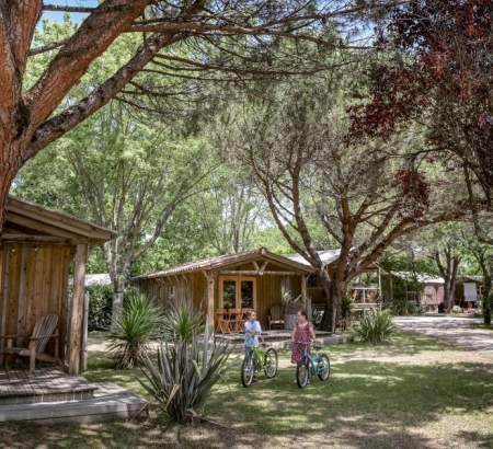 Charmant petit chalet ombragé