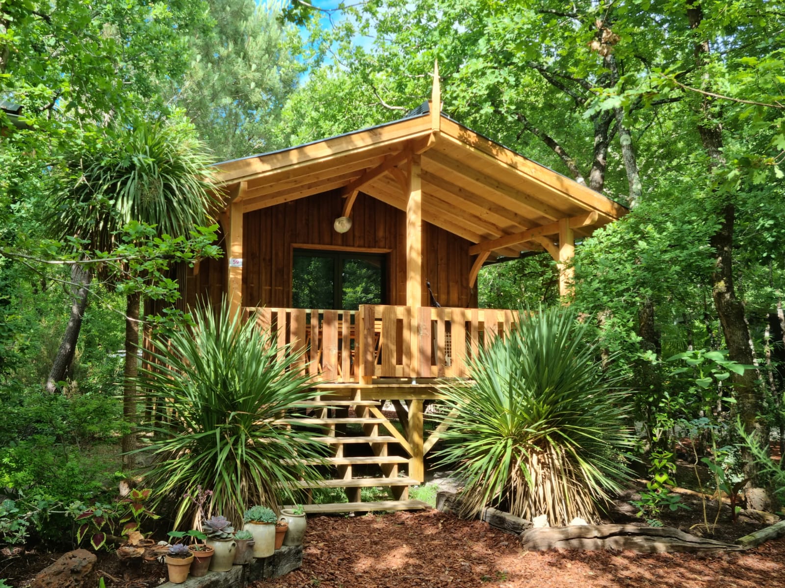  wood cabin tchanquée