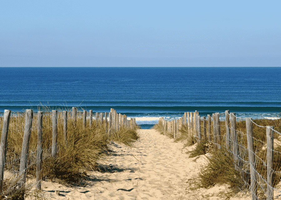  the beaches of the bay of arcachon